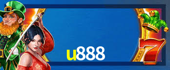 Premium Interface u888